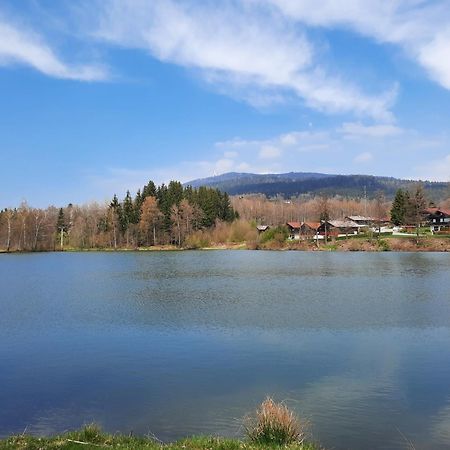 אראך Fewo Bayerischer Wald Im Lamer Winkel מראה חיצוני תמונה