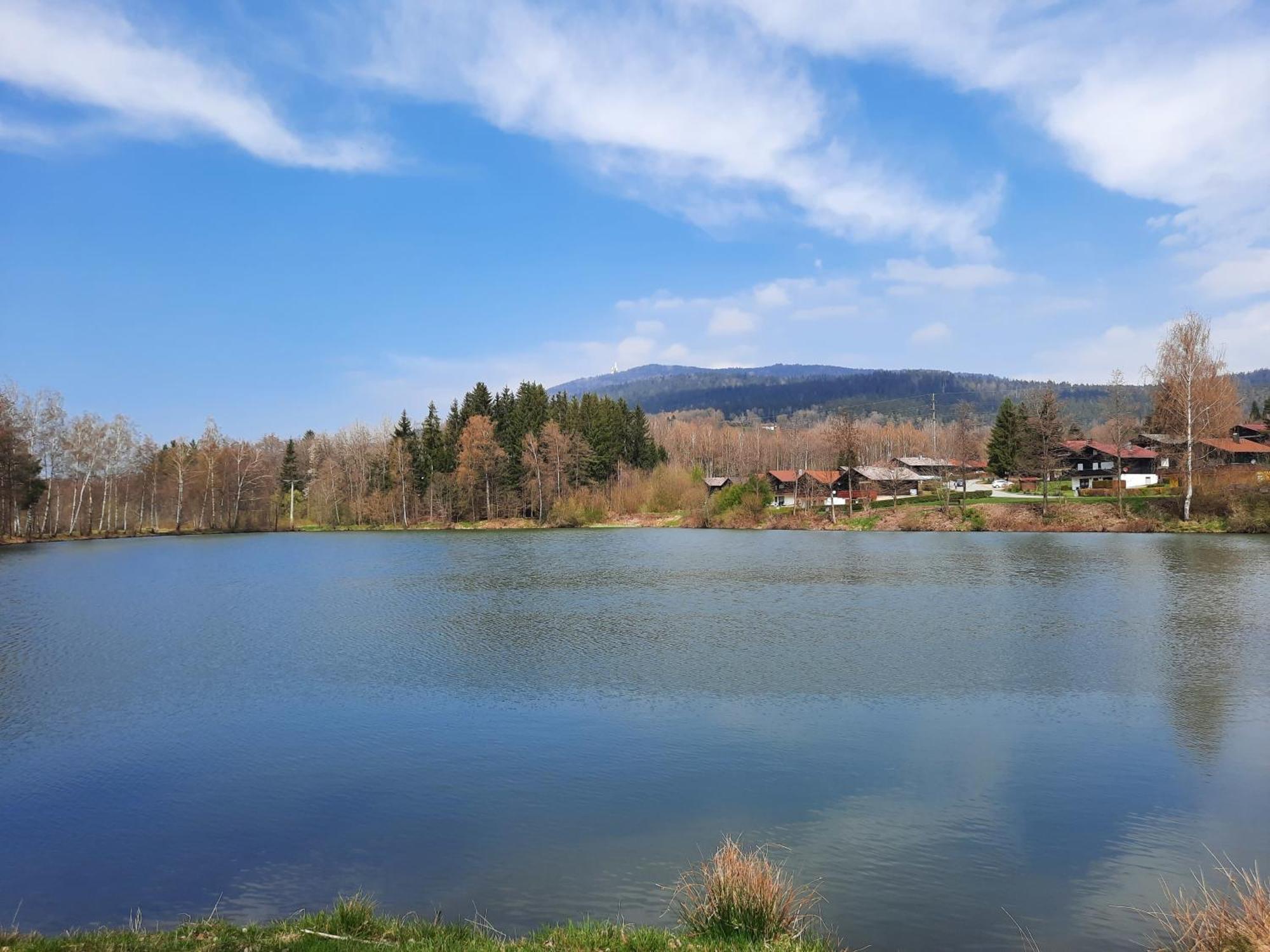 אראך Fewo Bayerischer Wald Im Lamer Winkel מראה חיצוני תמונה