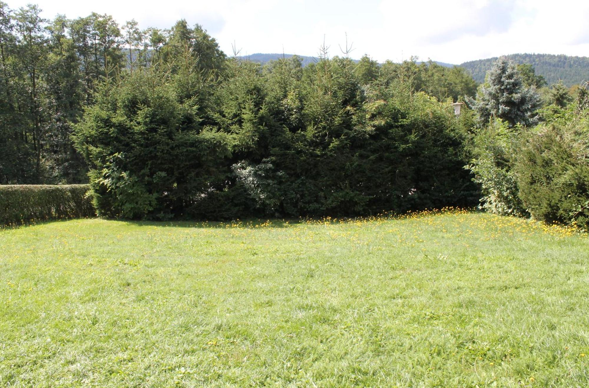 אראך Fewo Bayerischer Wald Im Lamer Winkel מראה חיצוני תמונה